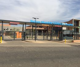 Securomesh Clearview High Security Fencing