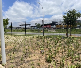 Securomesh Clearview High Security Fencing