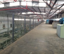 Securomesh Clearview High Security Fencing