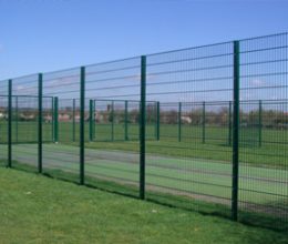 Cricket pitch HDS high