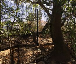 Securomesh Clearview High Security Fencing