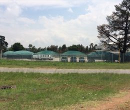 Securomesh Clearview High Security Fencing